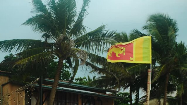Flag of Sri Lanka waving in the wind on the coast.