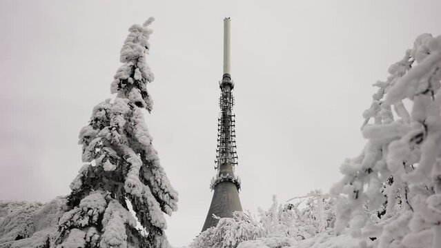 Low angle view of television transmitter tower spire through snowy forest