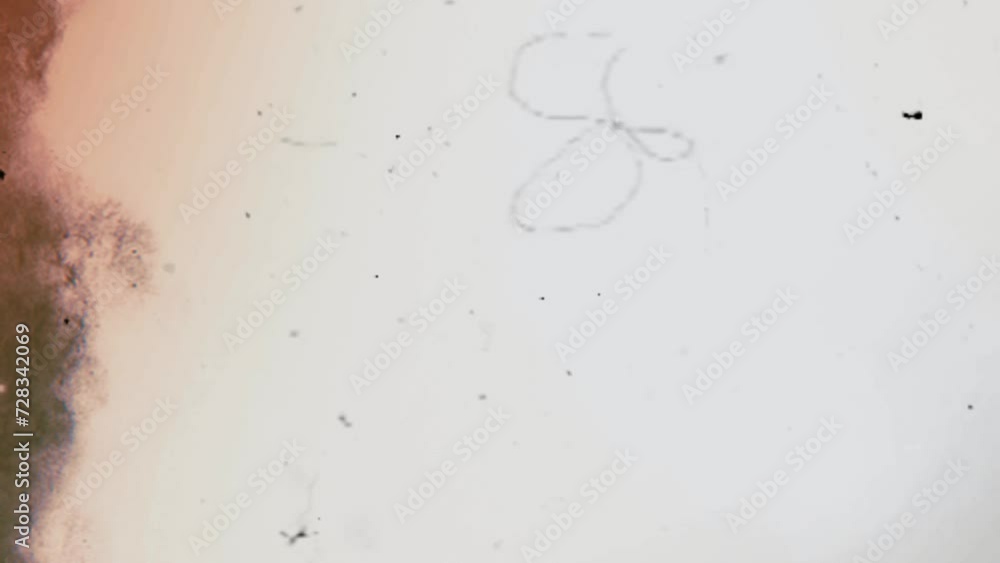 Poster white background with texture effects loop motion
