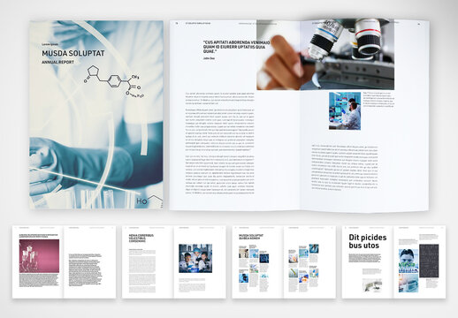 Annual Report with Key Indicators