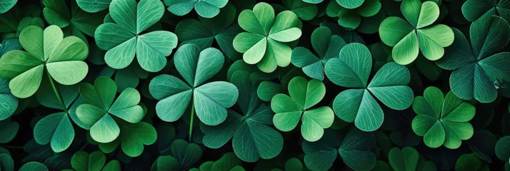Foto op Plexiglas Green clover leaf isolated on blur background. with leaved shamrocks. St. Patrick's day holiday symbol. Lucky green clover and nature background   © Planetz