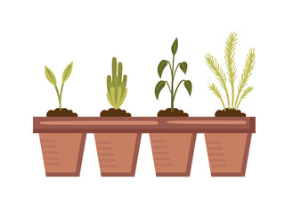 Seedlings for growing plants in peat cups. Vector illustration in cartoon flat style. Growing seedlings for harvest