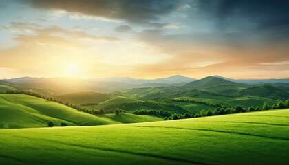 Green juicy field and sunset ,spring concept
