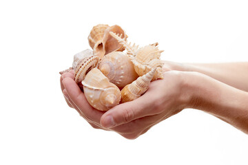 woman holding shell in the hands