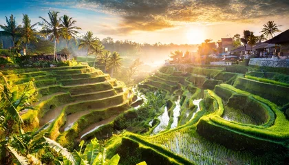Tuinposter beautiful sunrise over famous balinese landmark tegalalang rice terraces magic sun rays amazing light welcome to bali travel concept © Debbie