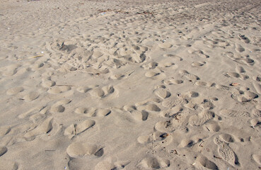 footprints in the sand