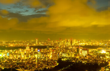 東京都心の夜景