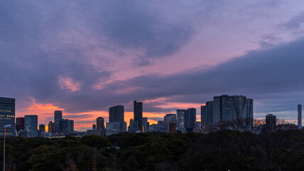 Fototapeta premium 東京湾の夜明け 大雪の予感