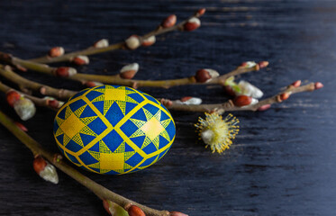 Blue-yellow Easter eggs and willow twigs on a dark wooden background