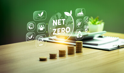 Sustainable energy solutions for a carbon-neutral future