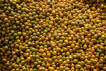 Freshly picked oranges in a juice factory - stock photo