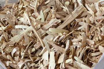 Processed Indian Sandalwood (Santalum Album) raw wooden logs for Essential Oils Extraction.