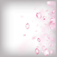 Cherry Sakura Blossom Confetti. Windy Leaves Confetti Border.