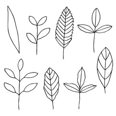 Twigs and leaves set, vector illustration hand drawn doodles
