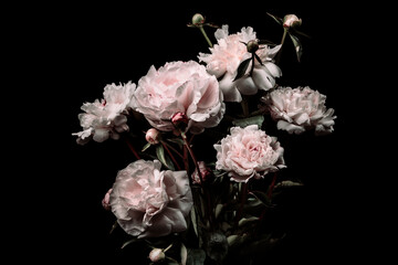 Seitenansicht auf einen Pfingstrosenblumenstrauss mit weissen-lila Pfingstrosen vor einem schwarzen Hintergrund