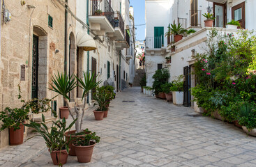 Fototapeta na wymiar Polignano a Mare, Italy - one of the most beautiful cities on the Adriatic Sea, Polignano a Mare is a main landmark in Apulia. Here in particular its narrow alleyways 