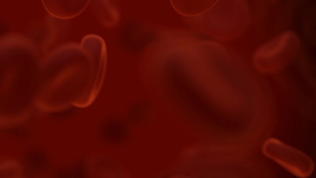 3d animation of red blood cells simulation HD 4k