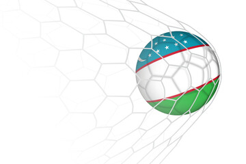 Uzbekistan flag soccer ball in net.