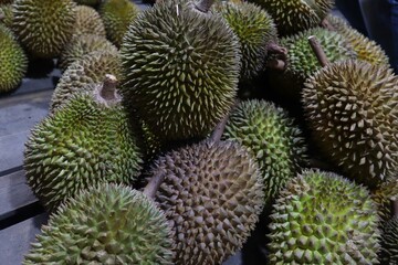 Naklejka na ściany i meble Durio zibethinus or Medan durian is the most popular type of durian.