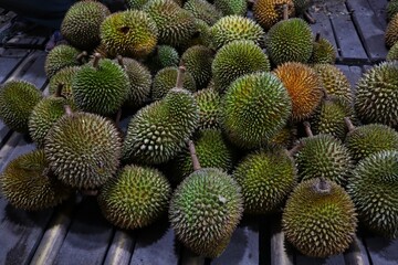 Durio zibethinus or Medan durian is the most popular type of durian.