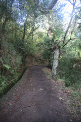 Madeira Island images - January 2024