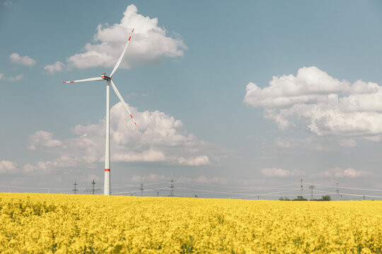 Clean energy generating windmill in a field of yellow flowers with copy space