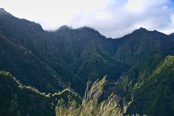 Madeira Island images - January 2024