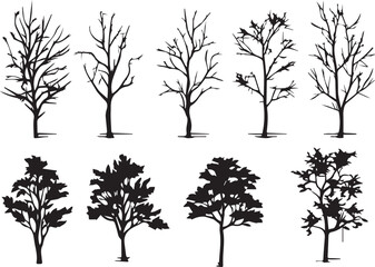 Set Trees. Hand drawn vector illustration	