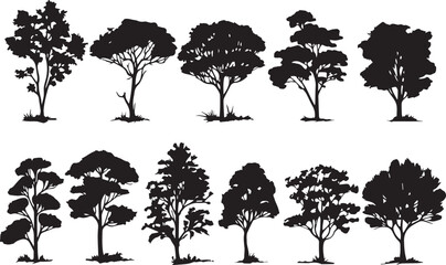 Set Trees. Hand drawn vector illustration	