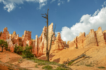 view to Bryce Canyon in afternoon light