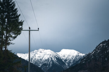 Mountains and power lines
