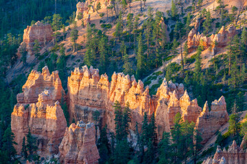 Bryce canyon with spectacular hoodoos
