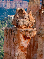 view to the hoodoos and rocks at Bryce Canyon