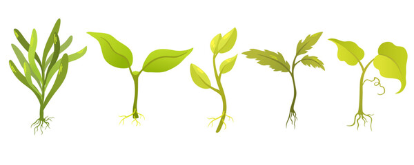 Plant sprouts. Seedling gardening plant. Seeds sprout in ground. Sprout, plant, tree growing agriculture icons. Vector hand draw flat illustration isolated on white background. - obrazy, fototapety, plakaty