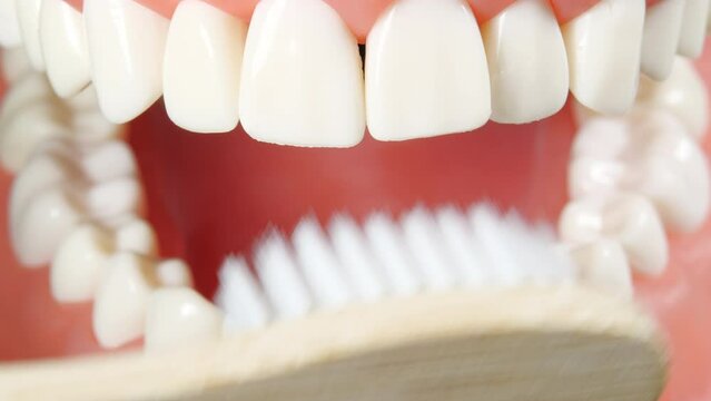 Patient at a Dentist Appointment in a Dental Clinic. Outside View of Brushing Teeth Tutorial with White Green Toothbrush. Cleaning Mouth Morning Healthcare Routine. Dental Care Education