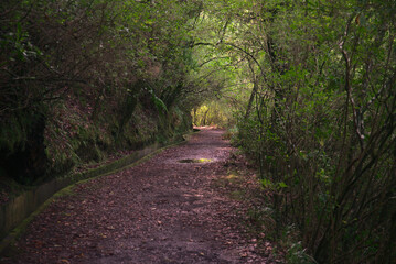 Madeira Island images - January 2024