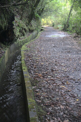 Madeira Island images - January 2024