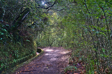 Madeira Island images - January 2024