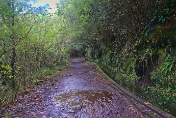 Madeira Island images - January 2024