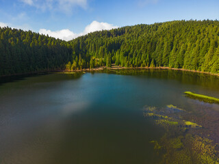 Lake canary or 