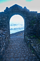 Madeira Island images - January 2024