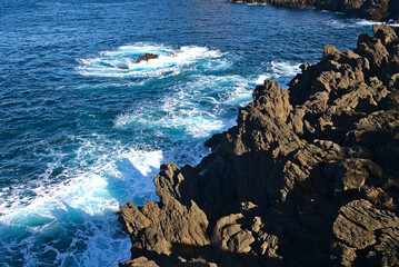 Madeira Island images - January 2024