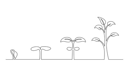 Continuous line drawing of step of tree growth. Plants grow isolated on white background template