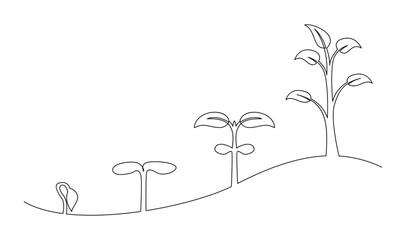 Continuous line drawing of step of tree growth. Plants grow isolated on white background template