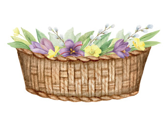 Watercolor vector basket with flowers isolated on white background. Design for easter cards, invitations, birthday, spring events. Holiday decor. Hand drawn illustration.