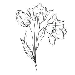 Tulips Line Drawing. Black and white Floral Bouquets. Flower Coloring Page. Floral Line Art. Fine Line Tulips illustration. Hand Drawn flowers. Botanical Coloring. Wedding invitation flowers.