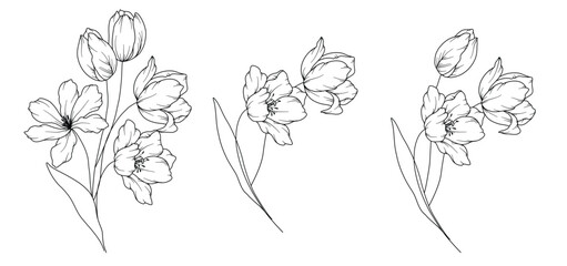 Tulips Line Drawing. Black and white Floral Bouquets. Flower Coloring Page. Floral Line Art. Fine Line Tulips illustration. Hand Drawn flowers. Botanical Coloring. Wedding invitation flowers.