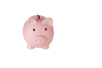 Piggy bank pig on isolated white background close up