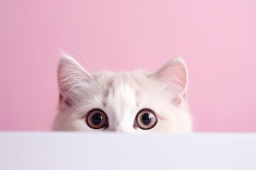 Funny cat peeking out from behind white board on pastel pink background