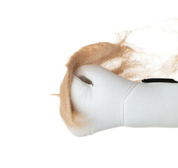 Boxing glove hit sand and explode. White Boxer glove impact sand splash as exercise training. White background isolated